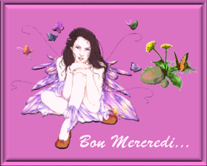 Gif animé Bon mercredi fée